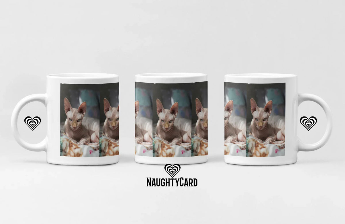 12 x MUG'S - Naughty Card