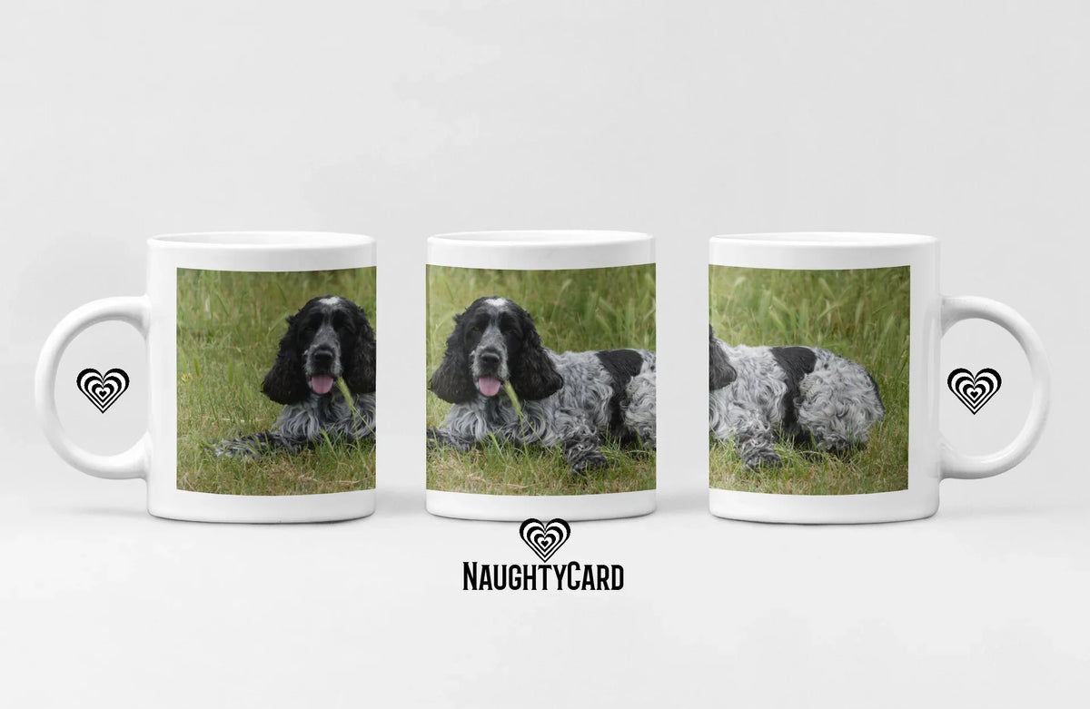 12 x MUG'S - Naughty Card